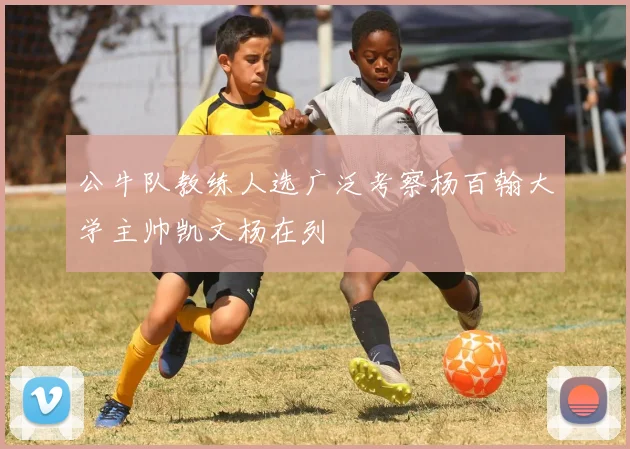 公牛队教练人选广泛考察杨百翰大学主帅凯文杨在列