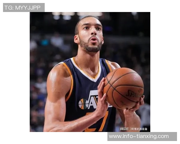 戈贝尔回应被判二级恶犯称没有故意伤人意图认为最多应为一级恶犯